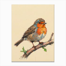 Robin Canvas Print