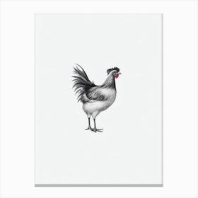 Chicken B&W Pencil Drawing 5 Bird Canvas Print