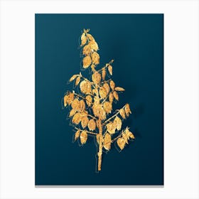 Vintage Adam's Needle Botanical in Gold on Teal Blue n.0318 Canvas Print