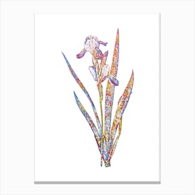 Stained Glass Tall Bearded Iris Mosaic Botanical Illustration on White n.0203 Canvas Print