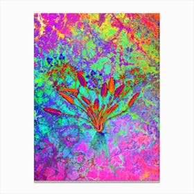 Starfruit Botanical in Acid Neon Pink Green and Blue n.0071 Canvas Print