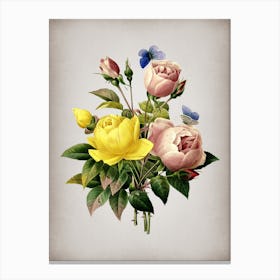Vintage Variety of Roses Botanical on Parchment n.0404 Canvas Print