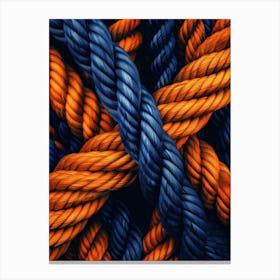 Blue And Orange Ropes 1 Canvas Print