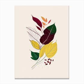 Curry Leaf Spices And Herbs Minimal Line Drawing 1 Canvas Print