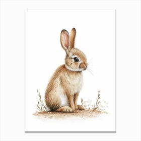 Dutch Rabbit Nursery Illustration 4 Canvas Print