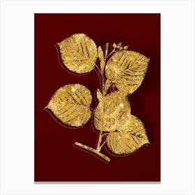 Vintage Linden Tree Branch Botanical in Gold on Red n.0202 Canvas Print