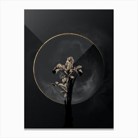 Shadowy Vintage Iris Persica Botanical in Black and Gold Canvas Print