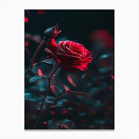 Red Rose Wallpaper 1 Canvas Print