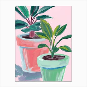 Two Potted Plants Canvas Print