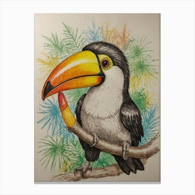 Toucan 26 Canvas Print