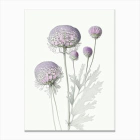 Scabiosa Floral Quentin Blake Inspired Illustration 4 Flower Canvas Print