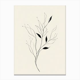 Twigs And Leaves Canvas Print