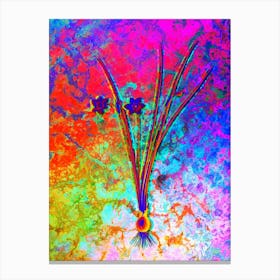Daffodil Botanical in Acid Neon Pink Green and Blue n.0131 Canvas Print
