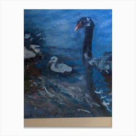 Black Swans And Cygnet Canvas Print