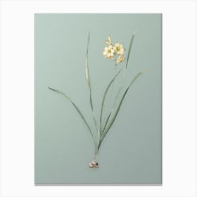 Vintage Gladiolus Lineatus Botanical Art on Mint Green n.0297 Canvas Print