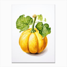 Acorn Squash Pumpkin Watercolour Illustration 4 Canvas Print