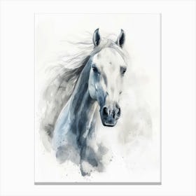 White Horse Canvas Print Canvas Print