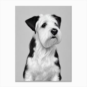Sealyham Terrier B&W Pencil dog Canvas Print