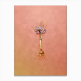 Vintage Crocus Sativus Botanical Art on Peach Pink n.1239 Canvas Print