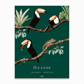 Verde Tucanos 1 Canvas Print