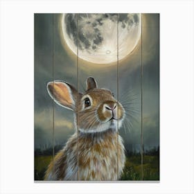 Rabbit At The Moon Canvas Print