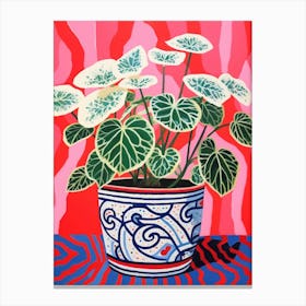 Pink And Red Plant Illustration Fittonia White Anne 3 Canvas Print