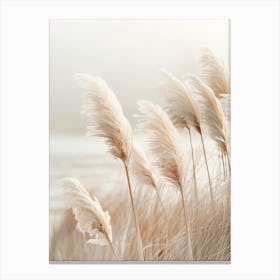 Idyllic Pampas Grass Canvas Print