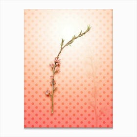 Peach Blossom Vintage Botanical in Peach Fuzz Polka Dot Pattern n.0297 Canvas Print