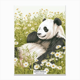 Giant Panda Resting In A Field Of Daisies Poster 8 Canvas Print