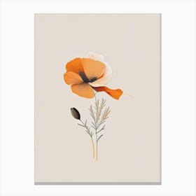 California Poppy Spices And Herbs Retro Minimal 3 Canvas Print