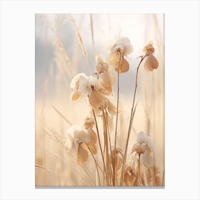 Boho Dried Flowers Monkey Orchid Canvas Print