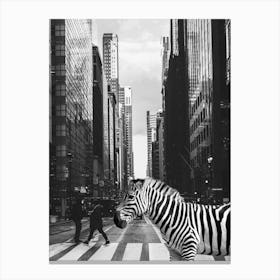 Zebra Crossing In NYC - Surreal Wildlife Photo Collage - Inspired by Inge Morath Canvas Print