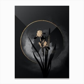 Shadowy Vintage Tall Bearded Iris Botanical on Black with Gold n.0059 Canvas Print