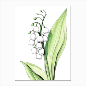 Lily Of The Valley 19 Canvas Print