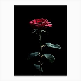 Dark Rose 21 Canvas Print