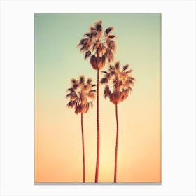 California Dreaming - Sunrise Palms Canvas Print