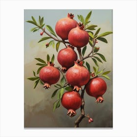 Pomegranate Tree 1 Canvas Print