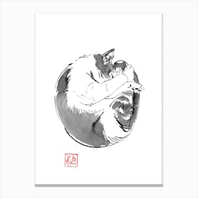 Round Cat Canvas Print