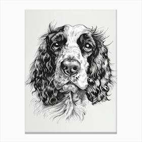 American Water Spaniel Line Sketch 3 Canvas Print