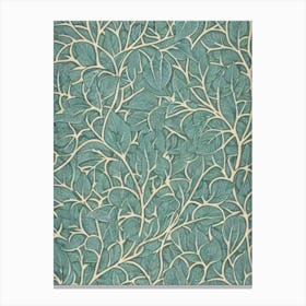 Basswood tree Vintage Botanical Canvas Print