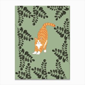 Orange Tabby Cat Canvas Print