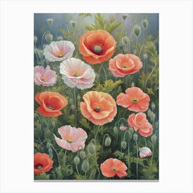 Poppies 36 Canvas Print