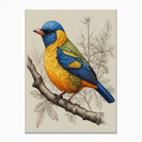 Blue And Yellow Bird Canvas Print