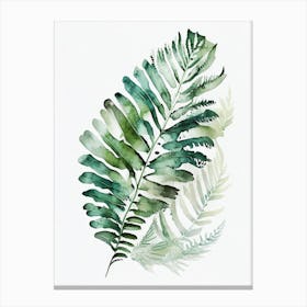 Fan Fern Watercolour Canvas Print