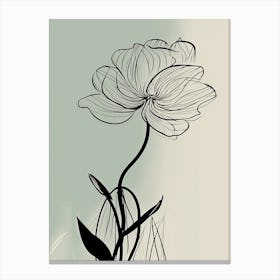Daffodils Line Art Flowers Illustration Neutral 12 Canvas Print