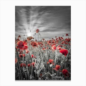 Gorgeous Sunset In A Poppy Field Canvas Print