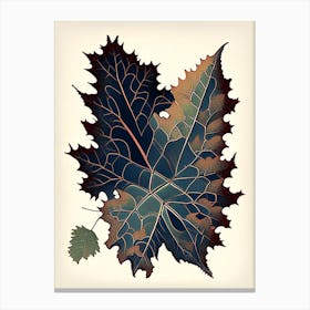 Oregon Grape Leaf Vintage Botanical Canvas Print