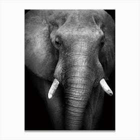 Black And White Elephant 2 Canvas Print