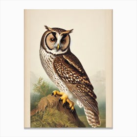 Owl James Audubon Vintage Style Bird Canvas Print