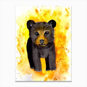 Honey Bear Cub Canvas Print